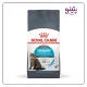 خرید غذای خشک گربه یورینری رویال کنین royalcanin urinary