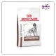 غذای خشک سگ گاسترو اینتستینال رویال کنین