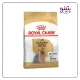 خرید غذای خشک سگ بالغ یورکشایر تریر رویال کنین yorkshire terrier