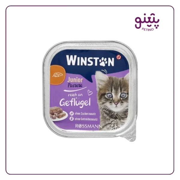 قیمت و خرید و قیمت ووم بچه گربه وینستون با طعم گوشت پرنده 100 گرمی