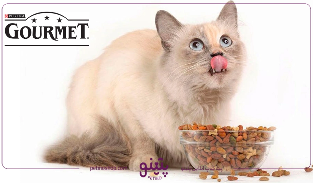قیمت محصولات gourmet در اتواع مختلف