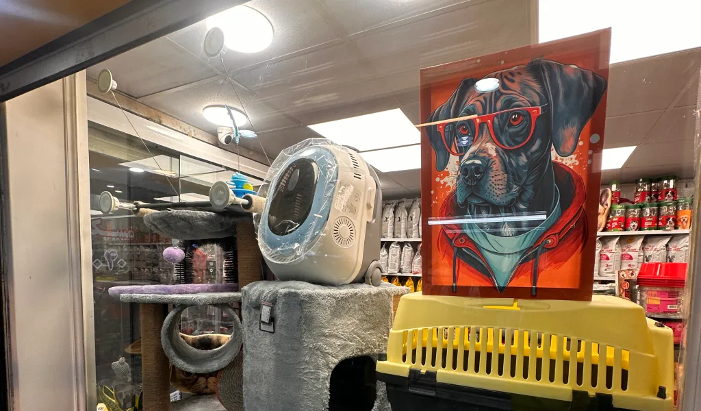 پتینوشاپ؛ بهترین پتشاپ شبانه روزی و آنلاین ایران برای تامین محصولات حیوانات خانگی