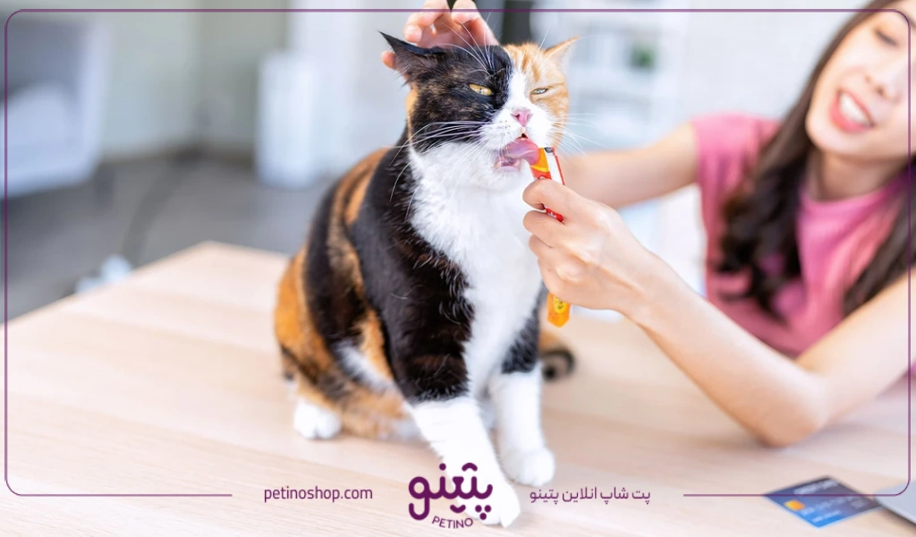 لیست قیمت مالت گربه ایرانی و خارجی در پتینوشاپ