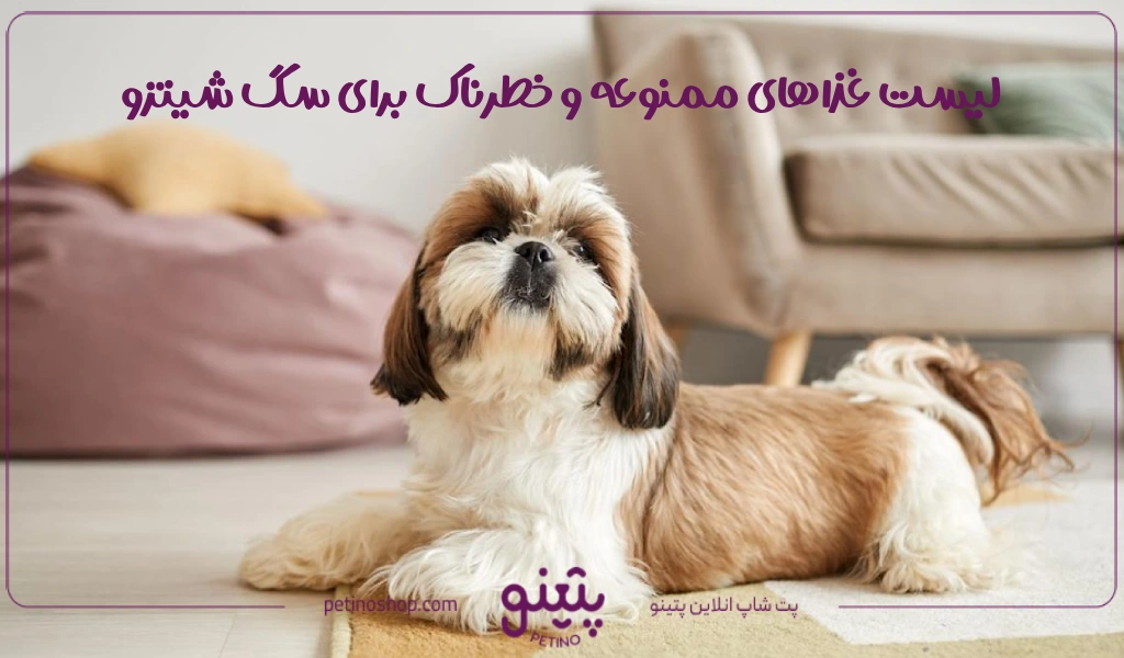 لیست غذاهای ممنوعه و خطرناک برای سگ SHIH TZU