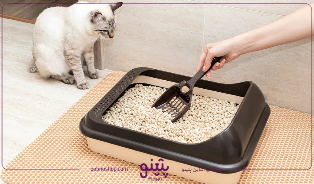 قیمت خاک گربه ایرانی و خارجی ده کیلویی
