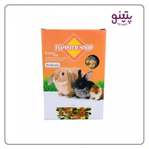 قیمت آجیل بدون تخمه جوندگان همسترشاپ 1 کیلویی