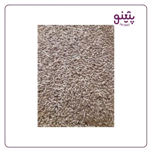 قیمت تخم کتان فله ای برای پرنده + خرید با بهترین کیفیت از پتینوشاپ