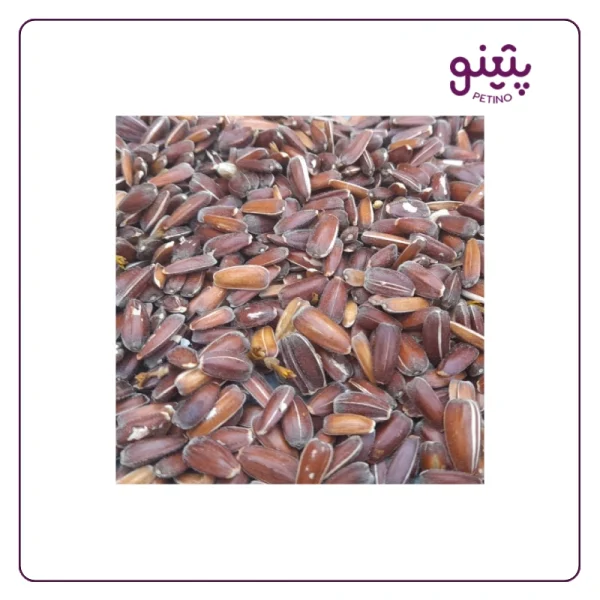 قیمت تخمه قرمز خام فله ای برای طوطی و پرنده در پتینو