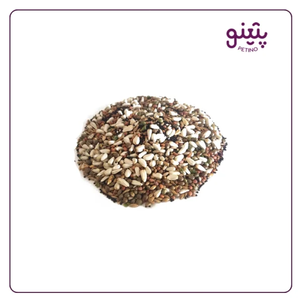 خرید هفت تخم پرنده 1 کیلویی با بالاترین کیفیت از پتینو