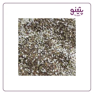 خرید هفت تخم فله ای طوطی درجه 1 از پتینو