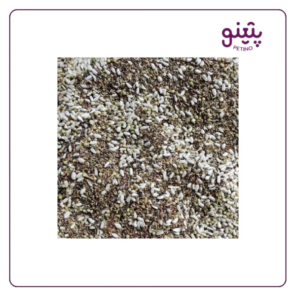خرید هفت تخم فله ای طوطی درجه 1 از پتینو