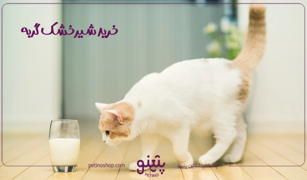 خرید شیرخشک گربه ایرانی و خارجی از پت شاپ تهران