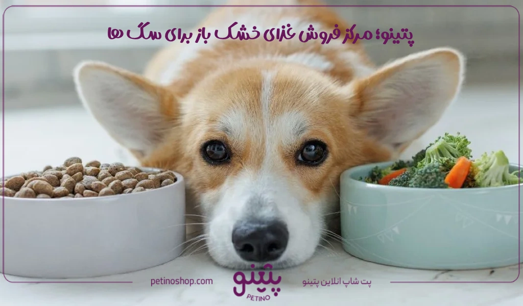 پتینو؛ مرکز فروش غذای خشک باز برای سگ ها