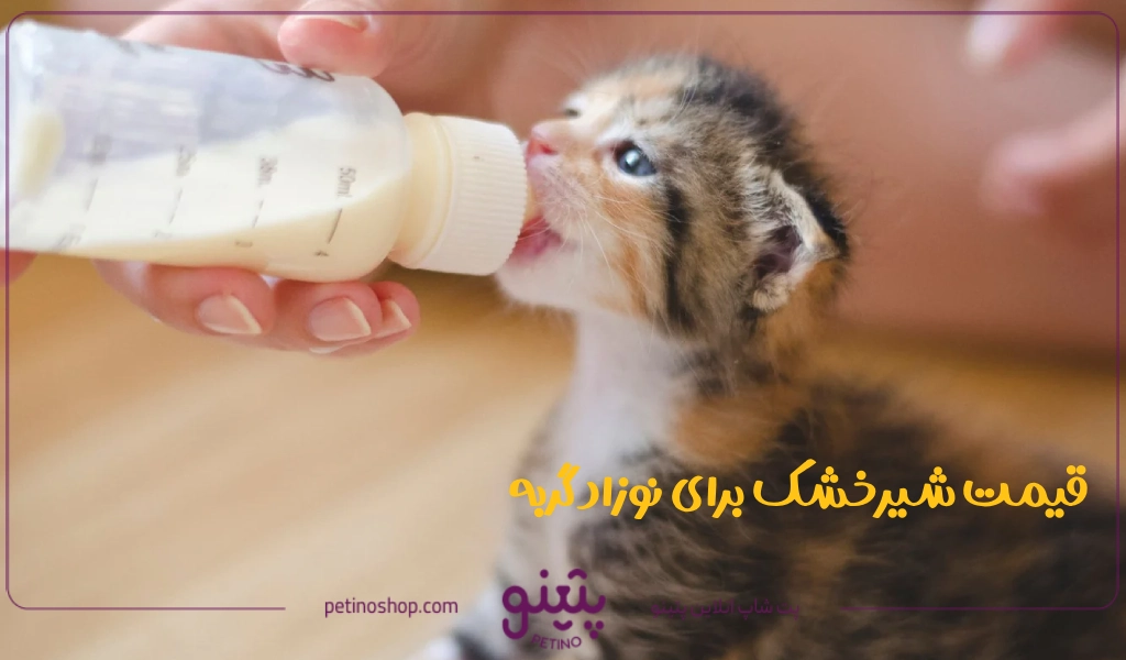 قیمت شیرخشک برای نوزاد گربه با بهترین تخفیفات 