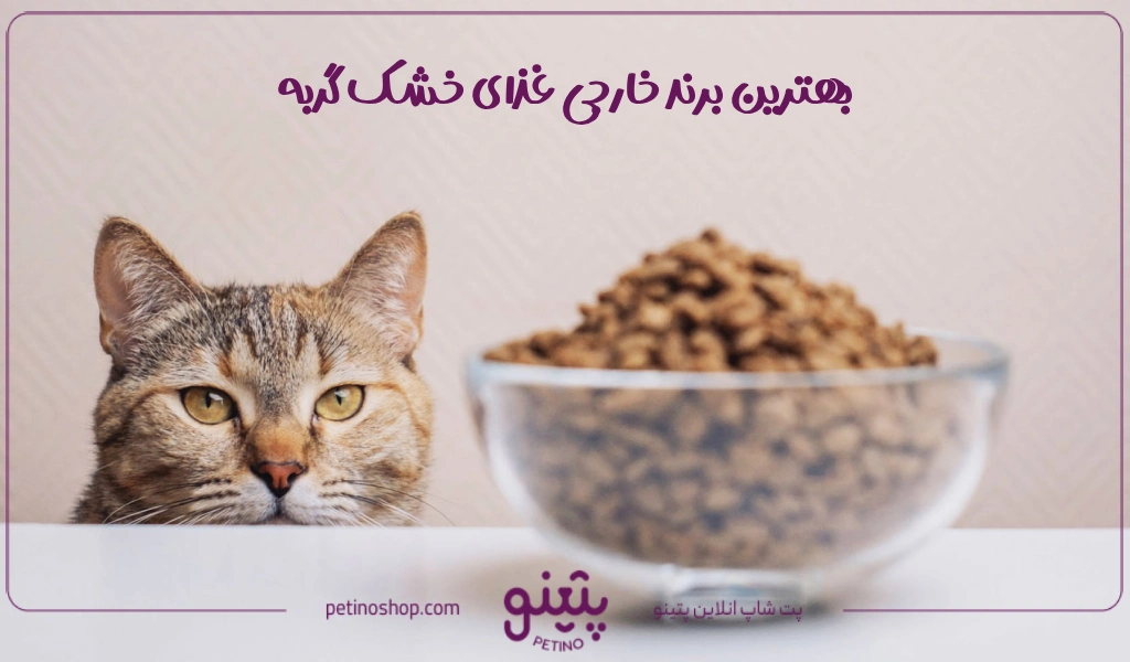 بهترین برند خارجی غذای خشک گربه در بازار ایران