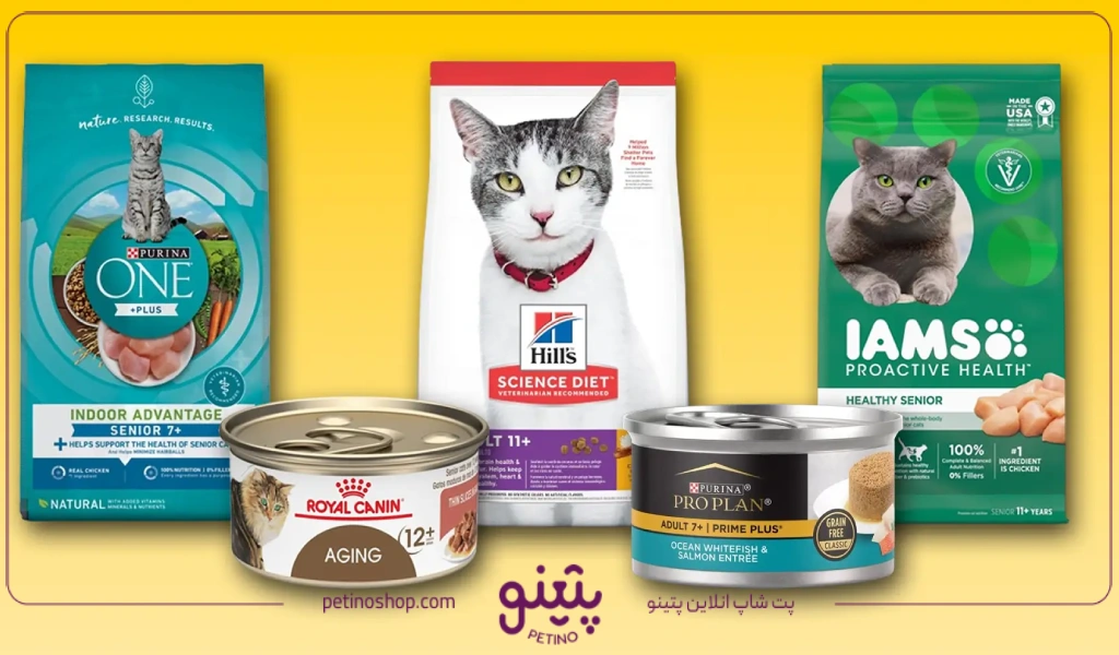 معرفی بهترین غذای خشک گربه خارجی و ایرانی