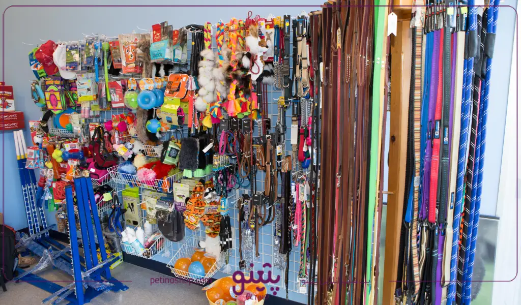 پتینو بهترین فروشگاه اینترنتی لوازم سگ در تهران با بالاترین تنوع برای تمامی نژادها