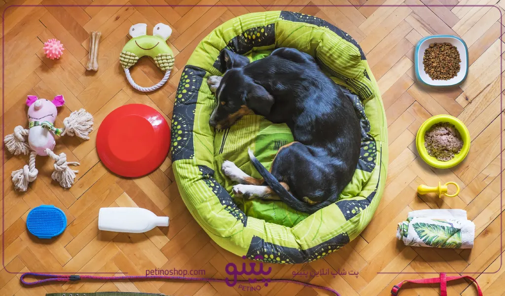 خرید انواع وسایل و لوازم سگ خانگی با بهترین قیمت