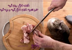 غذای خانگی برای گربه؛ طرز تهیه 8 غذای خانگی گربه