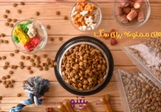 لیست غذاهای ممنوعه برای سگ + 20 غذای خطرناک سگ