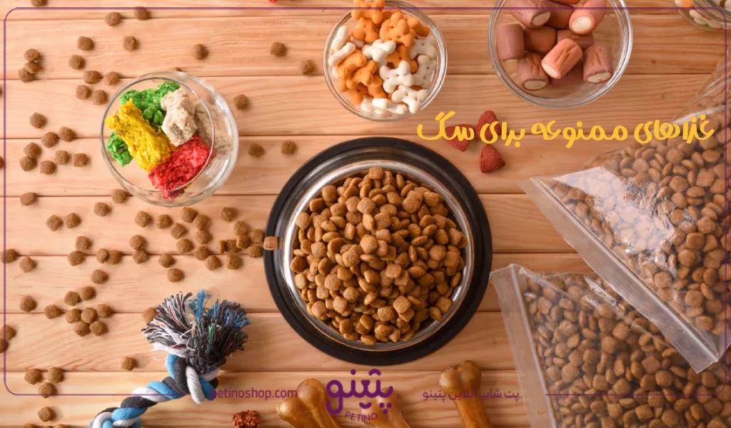 لیست غذاهای ممنوعه برای سگ + 20 غذای خطرناک سگ