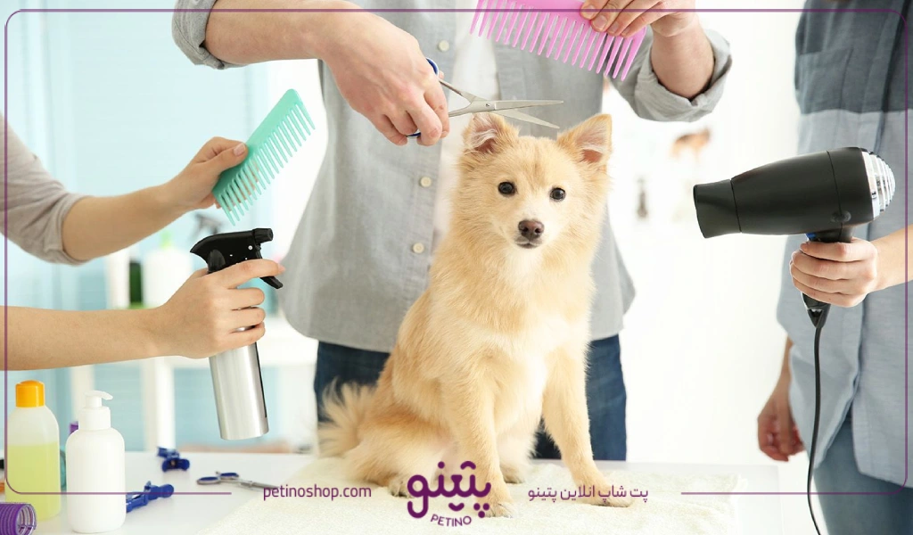 قیمت وسایل بهداشتی سگ