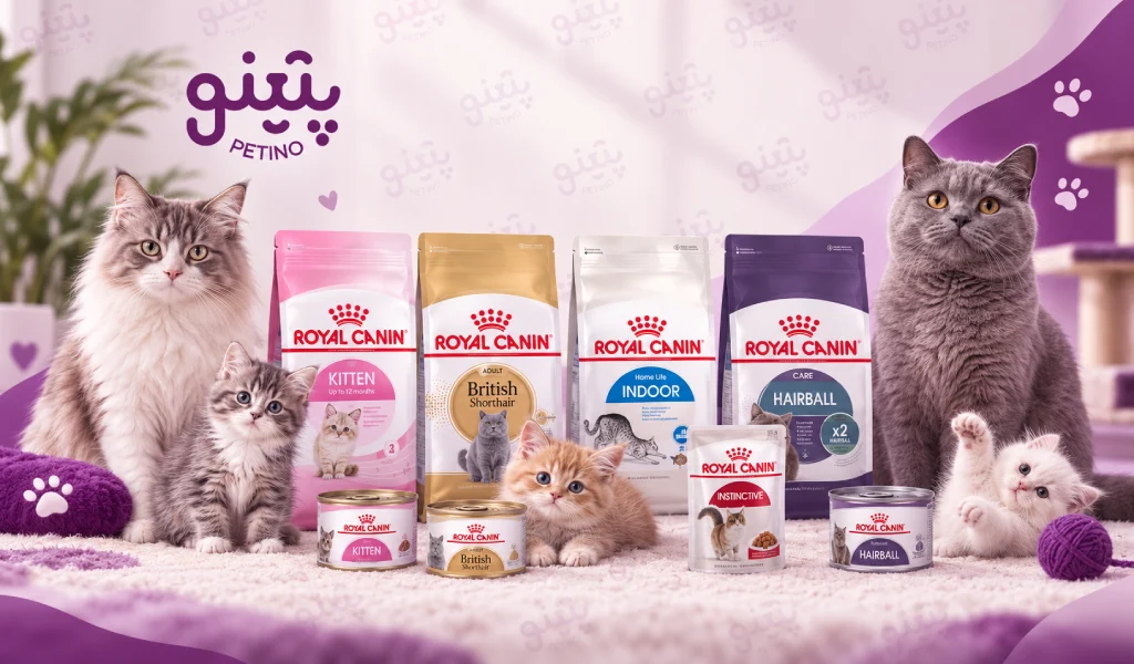 غذای گربه رویال کنین
