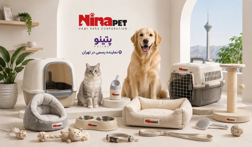 پتینو؛ نماینده نیناپت در تهران