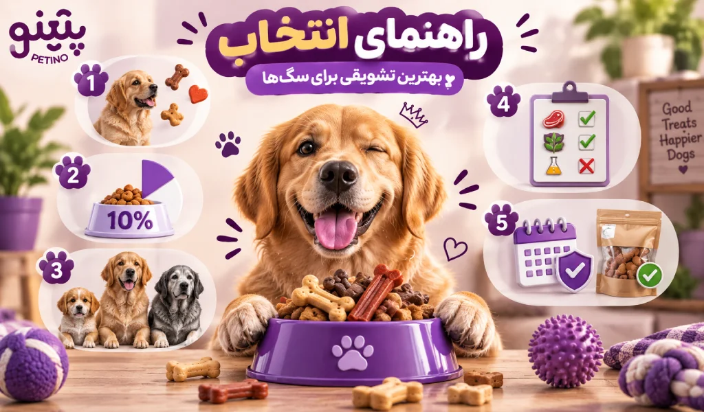 راهنمای انتخاب بهترین تشویقی برای سگها