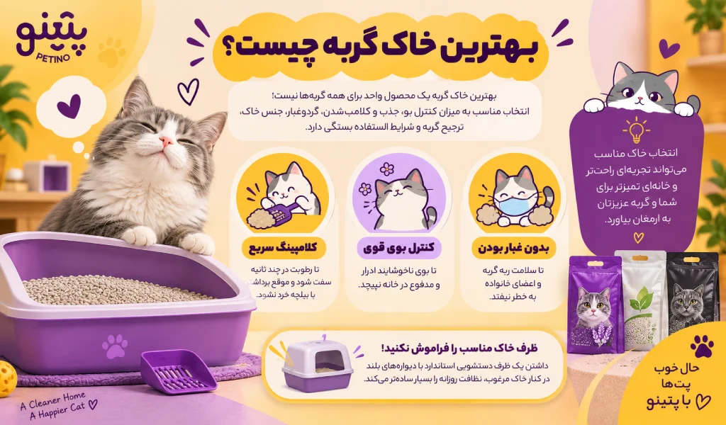 بهترین خاک گربه چیست؟