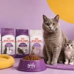 ۵ مدل از بهترین غذای خشک برای گربه عقیم شده