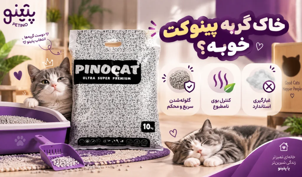 خرید خاک گربه پینوکت با بهترین قیمت از پتینو
