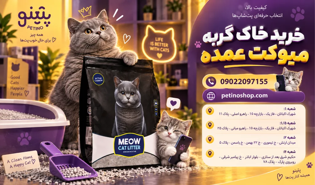 خرید خاک گربه میوکت عمده