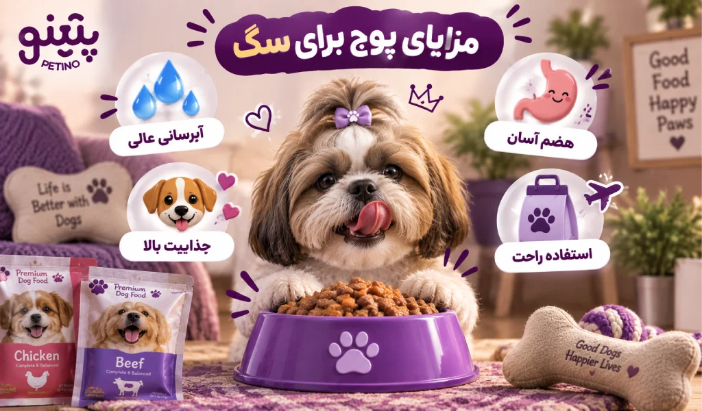 مزایای پوچ برای سگ