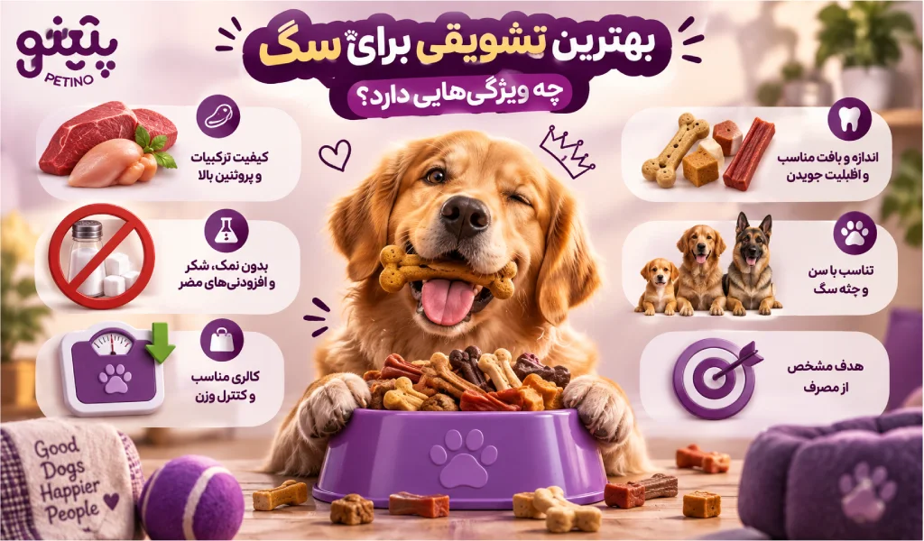 بهترین تشویقی برای سگ چه ویژگیهایی دارد؟