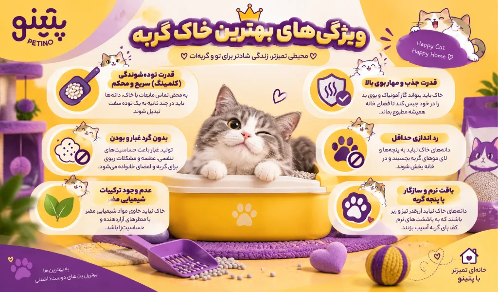 بهترین خاک برای گربه ها چه ویژگی هایی دارد؟