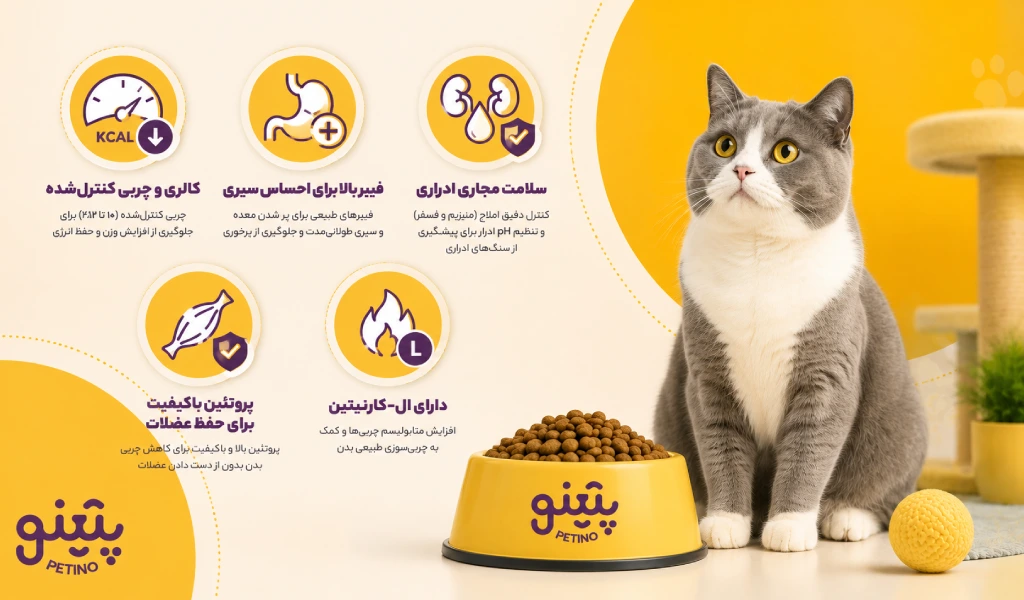 غذای خشک برای گربه عقیم شده چه ویژگیهایی باید داشته باشد؟
