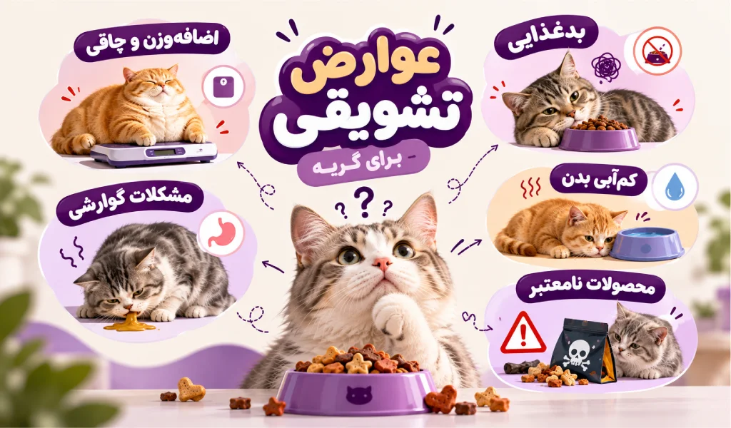 عوارضی تشویقی برای گربه ها