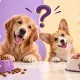 غذای خشک یا مرطوب سگ؛ کدام بهتر است؟