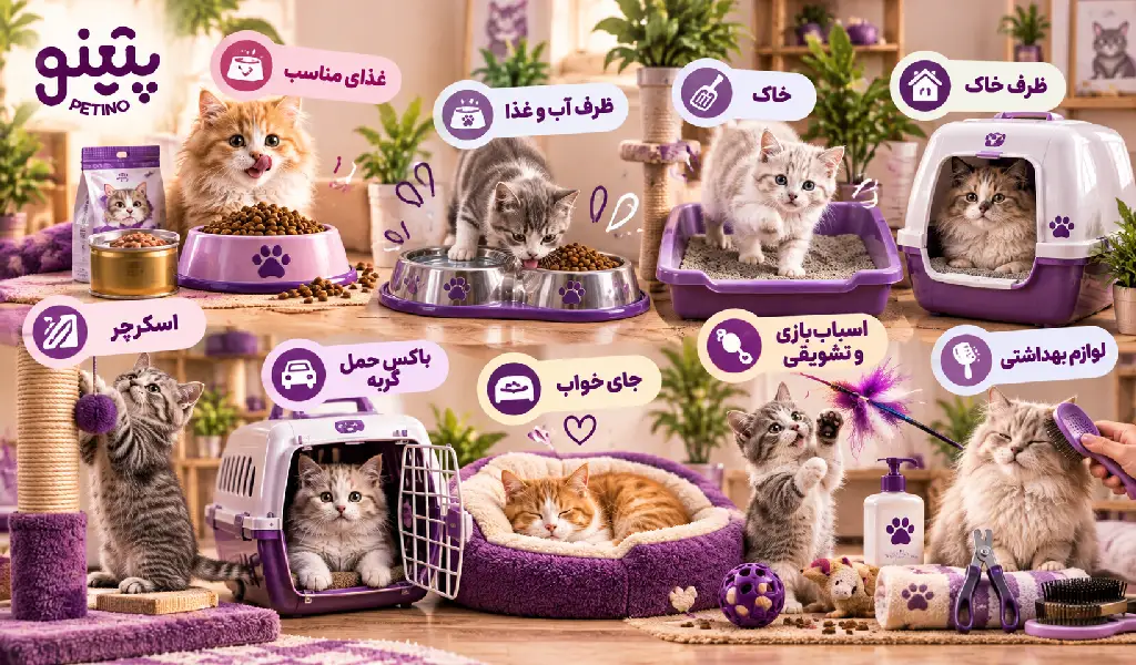 لیست وسایل ضروری برای نگهداری گربه در منزل