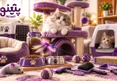 لیست وسایل و لوازم ضروری برای نگهداری از گربه در خانه