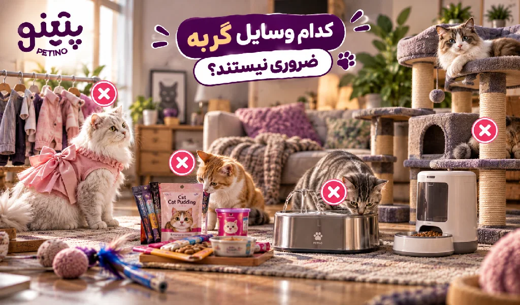 کدام وسایل گربه ضروری نیستند؟