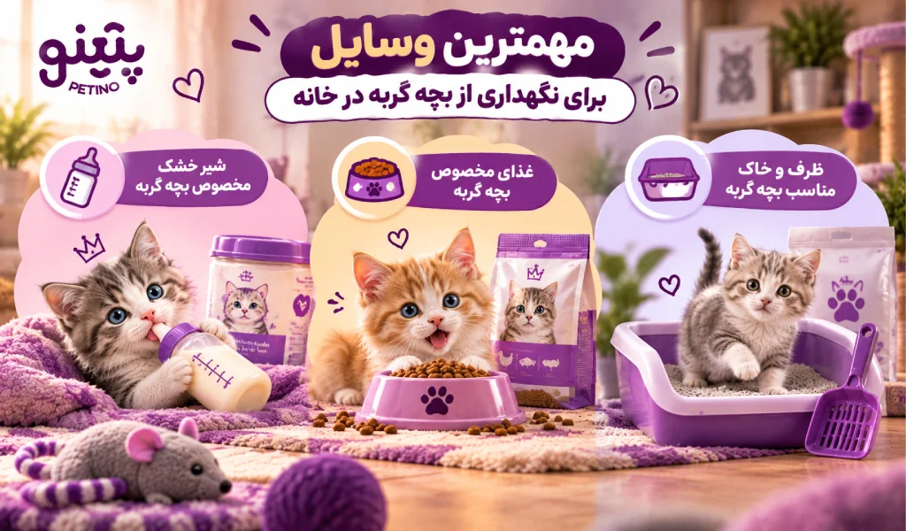 مهمترین وسایل برای نگهداری از بچه گربه در خانه